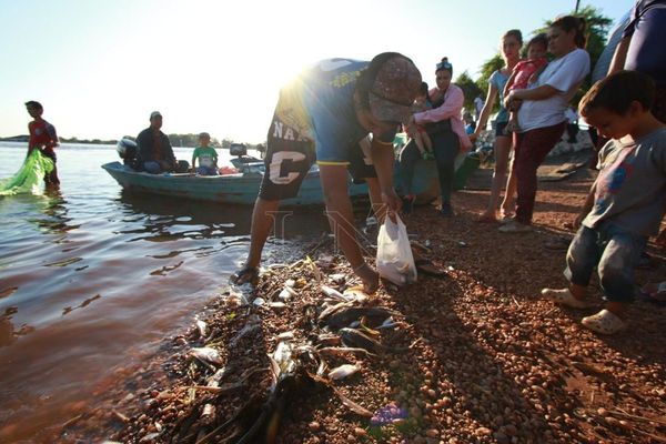 Ante mortandad, reiteran recomendación: No consumir pescado | Paraguay en Noticias 