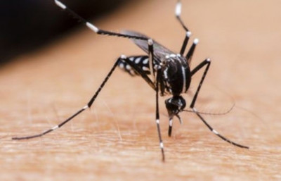 Reportan 1.675 afectados por dengue  - Radio 1000 AM