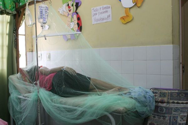 Reportan 1.675 afectados por dengue en todo el país | Paraguay en Noticias