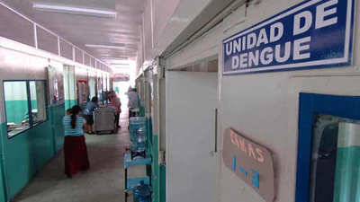 Ascienden a 1.675 los casos de dengue registrados en territorio nacional » Ñanduti