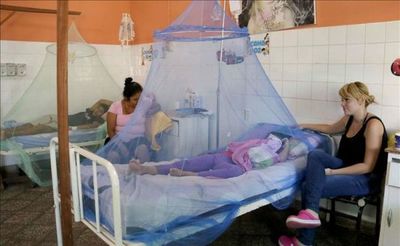 Ascienden a 1.675 los casos de personas infectadas por dengue en Paraguay » Ñanduti