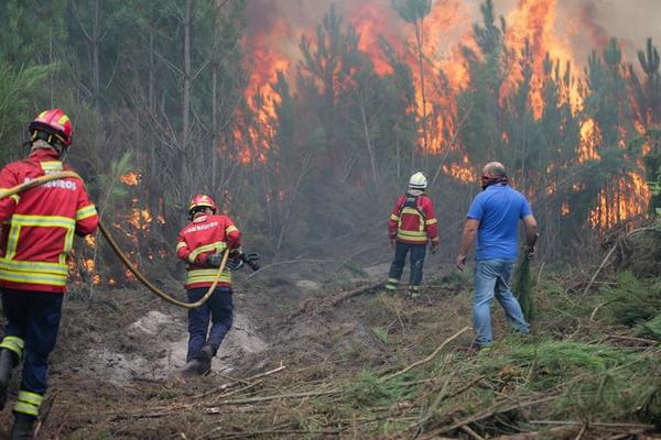 Incendios forestales en Honduras ya han arrasado 22.132 hectáreas | .::Agencia IP::.