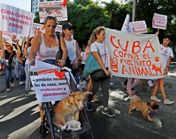 Inédita marcha exige en Cuba ley de protección animal | Paraguay en Noticias 