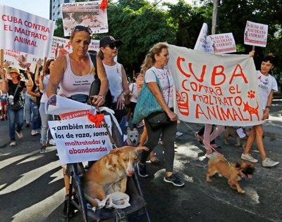 Inédita marcha exige en Cuba ley de protección animal - Internacionales - ABC Color