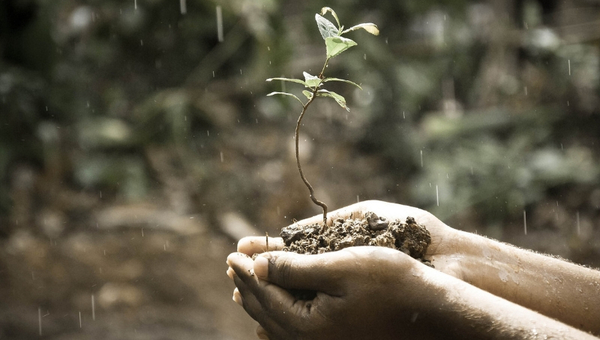 No culpes a la lluvia: ¿Qué tanto afecta a la agroindustria?