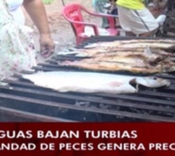 Vendedores de pescados garantizan su producto e invitan a comprar - Paraguay.com