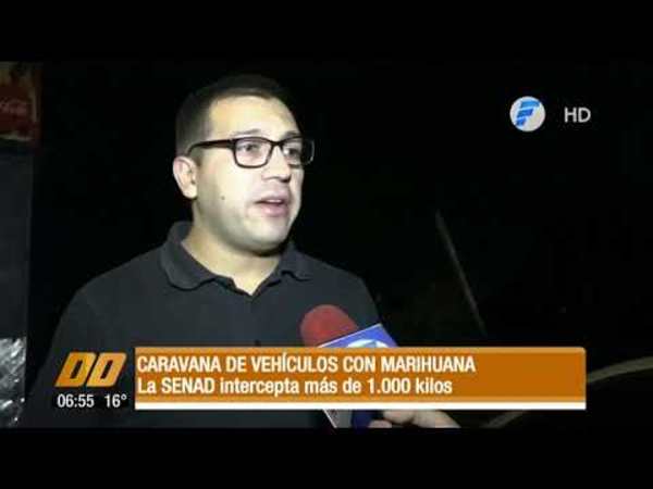 Caravana de vehículos con marihuana