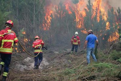 Incendios forestales en Honduras ya han arrasado 22.132 hectáreas » Ñanduti