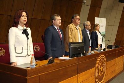 Titular de la Corte participa en audiencia pública