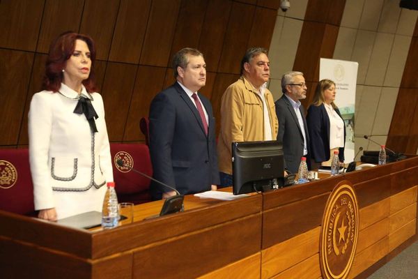 Titular de la Corte participa en audiencia pública