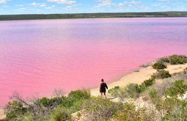 ¿Por qué este lago en Australia se vuelve rosa cada verano? - C9N