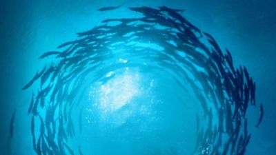 Productor de “Game of Thrones” patrocina serie sobre el desastre ecológico
