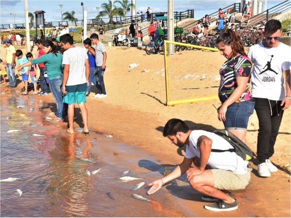 Mortandad de peces: Descartan relación con agrotóxicos derramados en Brasil | Paraguay en Noticias