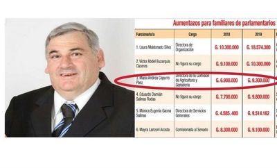 La hija del Diputado Hugo Capurro tuvo un aumentazo en este 2019 - Digital Misiones