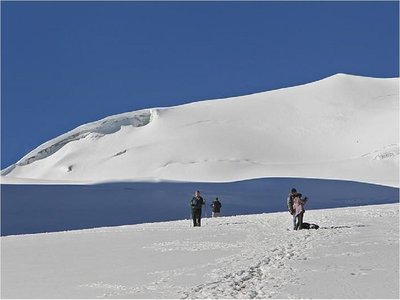 Glaciares pierden cada año 335.000 millones de toneladas de hielo