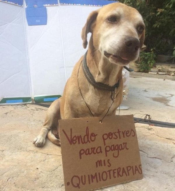 Ma’êna, vende postre para pagar su quimio