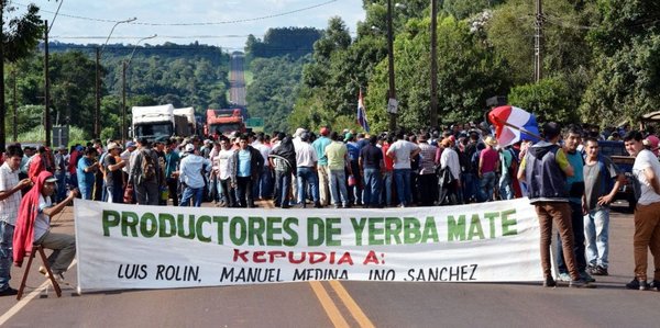 Yerbateros buscan forzar precio más alto - Edicion Impresa - ABC Color