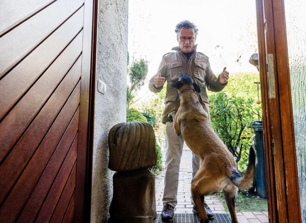 Mimos y caricias para evitar que los perros se abalancen - Mascotas - ABC Color