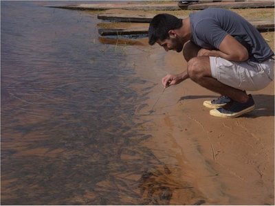 “Falta de oxígeno mata a peces” y  aún no analizan  qué hay en sedimentos