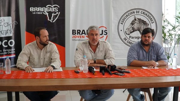 Brangus se fusiona para la gran Nacional de Otoño