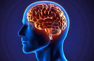 Aprendiendo cómo consentir a tu cerebro
