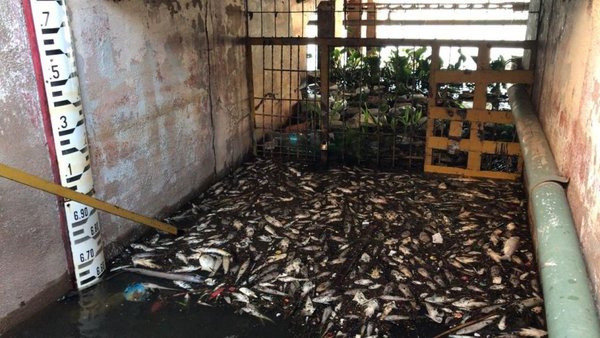 Mades duplicó funcionarios | Paraguay en Noticias