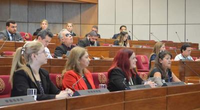La SFP participó de la reunión convocada por la comisión asesora de Derecho Humanos para las PcD de la Cámara de Senadores