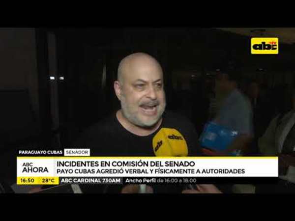 Incidentes en comisión del senado - Tv - ABC Color