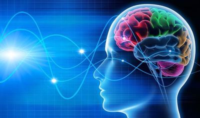 Ondas cerebrales se sincronizan cuando personas hablan lenguas extranjeras