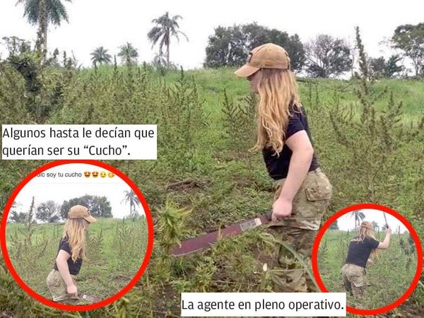 “ARRESTAME”, LE DIJERON A LA RUBIA DE SENAD