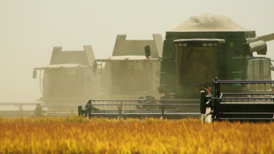 Disponen medidas para ayudar al sector agrícola