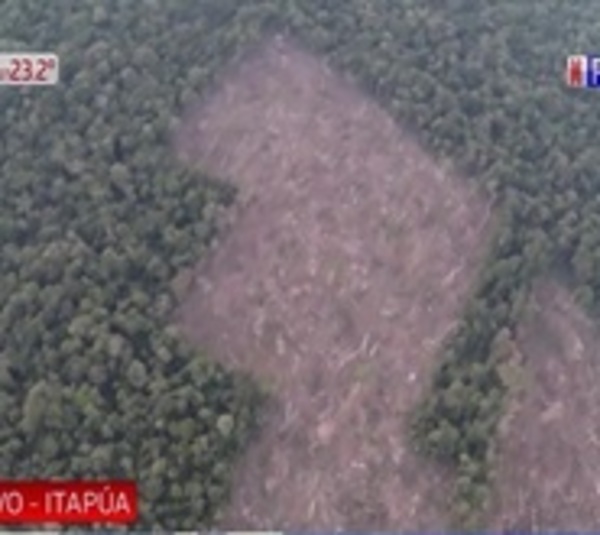 Impune deforestación de la reserva San Rafael - Paraguay.com