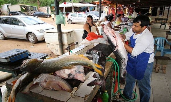 Problema social en puertas: agosto de pescadores se fue al tacho | Paraguay en Noticias 