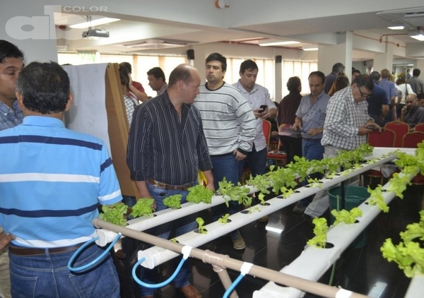 Seminario taller de hidroponía destaca rentabilidad del sistema - Edicion Impresa - ABC Color
