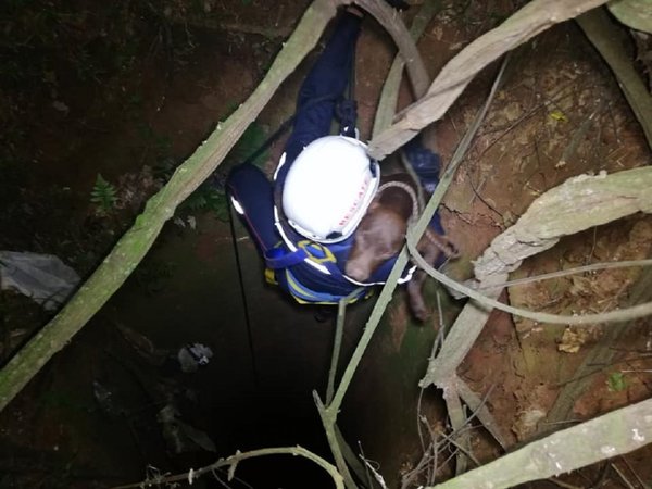 Bomberos rescatan a un perro de un pozo profundo