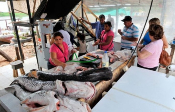SENACSA aclara que peces del río Paraguay se pueden consumir - Radio 1000 AM