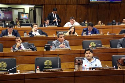 Archivan proyecto que abroga Protocolo del Parlasur - ADN Paraguayo
