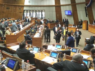Diputados archiva proyecto para suprimir gastos de parlasurianos