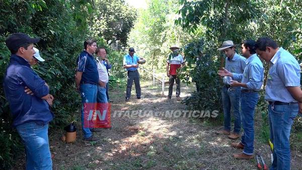 AGROFEST 2019: INVITAN A CONVERSATORIO SOBRE PRODUCCIÓN DE EUCALIPTOS.
