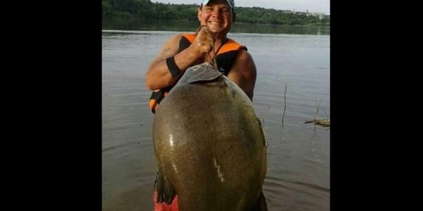 PESCARON UN PACÚ DE 26 KILOS EN EL RÍO PARANÁ
