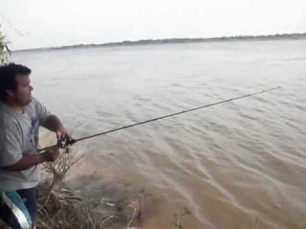 Aclaran que peces del río Paraguay se pueden consumir