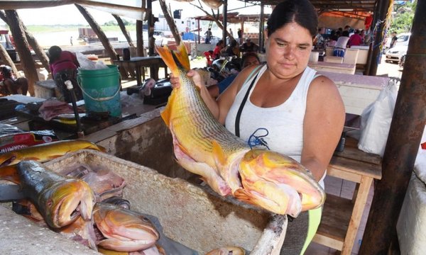 El “agosto” de los pescadores se fue este año directo al tacho - ADN Paraguayo