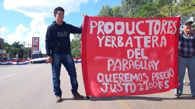 Productores de yerba se desesperan ante la baja de los precios del rubro - ADN Paraguayo