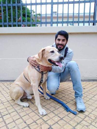 Amor por los caninos: Se dedica a pasear perros