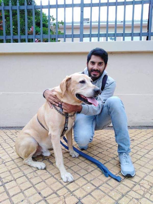 Amor por los caninos: Se dedica a pasear perros