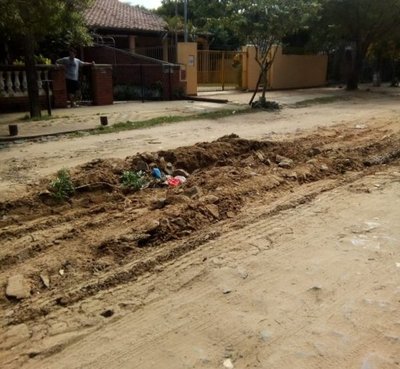 Desidia total en zona Botánico - Cronicas Ciudadanas - ABC Color