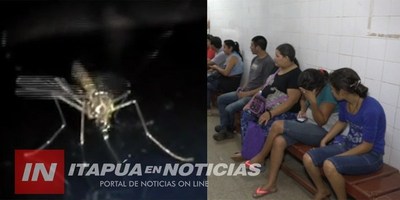 14 DE LOS 30 DISTRITOS DE ITAPÚA TIENEN CASOS POSITIVOS DE DENGUE.