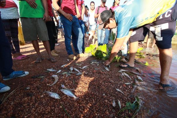 Diputados pedirán informe sobre mortandad de peces al Ministerio del Ambiente