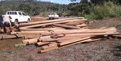 Hallan maderas aserradas cerca de la reserva del Parque San Rafael - ADN Paraguayo