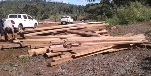 Hallan maderas aserradas cerca de la reserva del Parque San Rafael - ADN Paraguayo